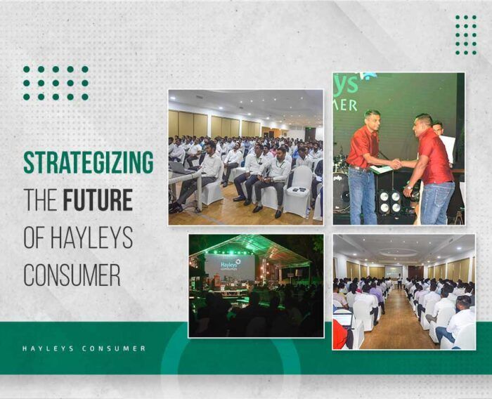 Strategizing the Future of Hayleys Consumer